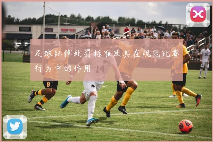 足球纪律处罚标准及其在规范比赛行为中的作用