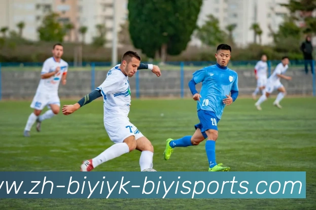 App Interface Preview